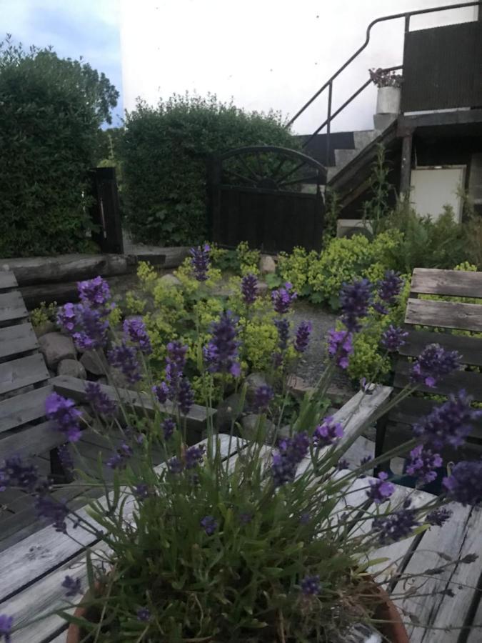 Botanikerns Hus Vila Löderup Exterior foto
